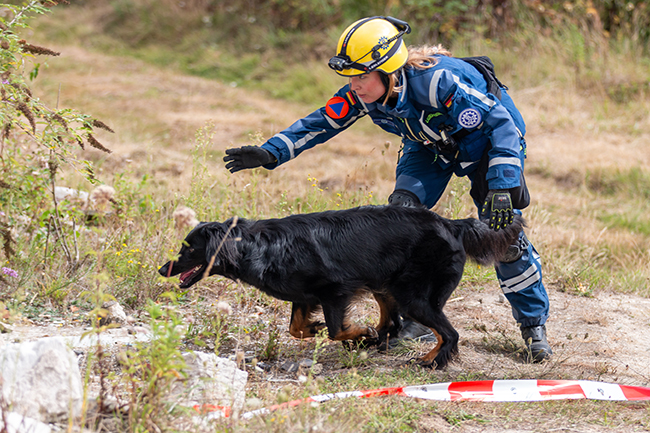 Fülex – 600 THW Kräfte bei Einsatz und Übung