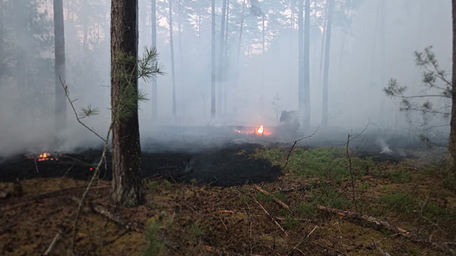 Waldbrand in Neubau am See in der Oberpfalz am 27.05.2026 11 Waldbrand in Neubau am See