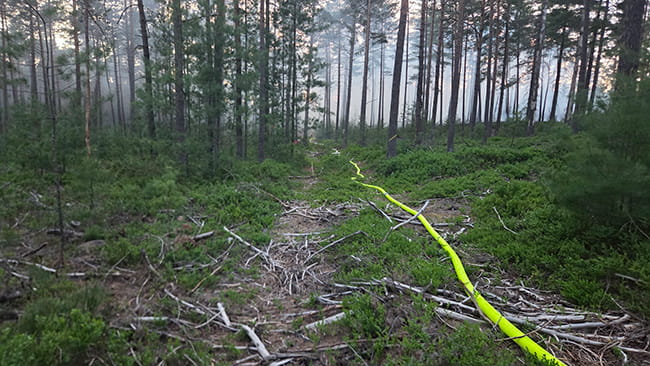 20260527 Waldbrand Neubaeu 6