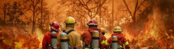 Symbolbild Waldbrand Adobe Stock