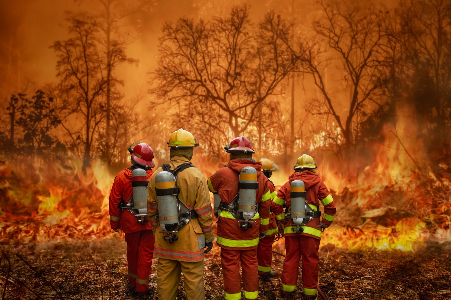Waldbrand: DFV-Präsident dankt allen Einsatzkräften und kündigt neues Angebot “FIREmobil” in Welzow an