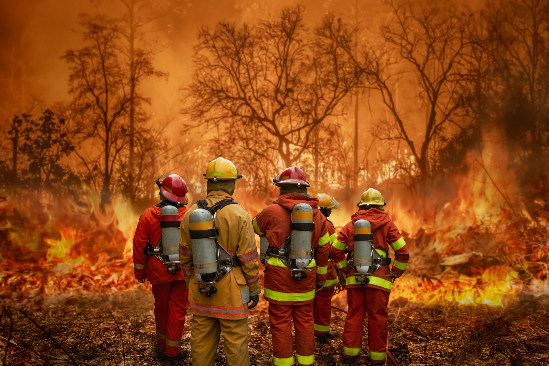 Mehr Sicherheit für Berliner Wälder