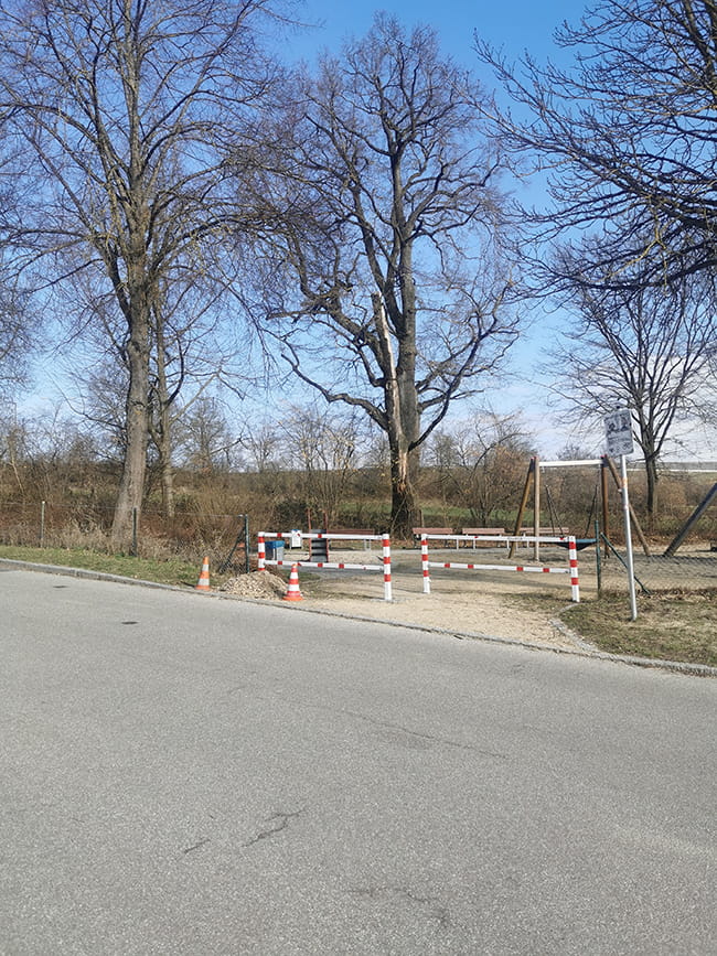 Baumumsturz bei Regen nach dauernder Trockenheit 3 Baumsturz002s
