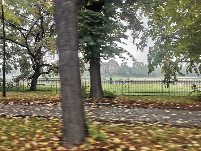 Baumumsturz bei Regen nach dauernder Trockenheit 2 Baumsturz004s
