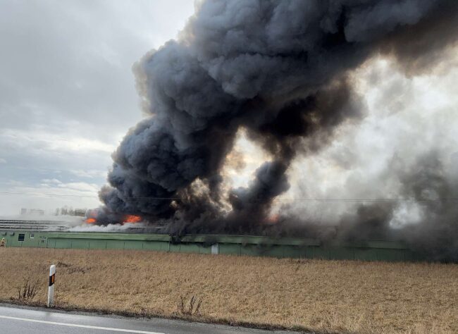 Brand leerer Gefluegelhof in Pfatter Bild Polizei