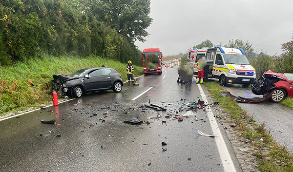 Einsatz 240925 Rassnach 2s