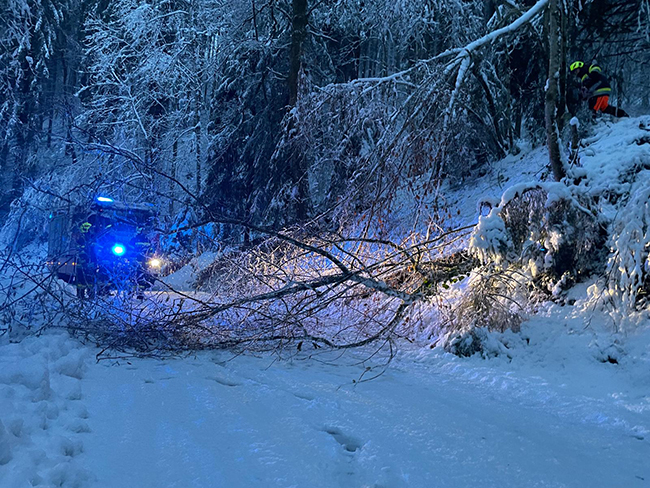 FF Gruenberg Aichegg 1 s