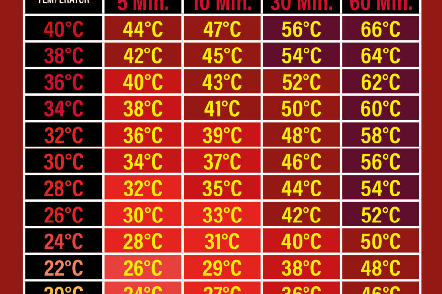 Hitzeanstieg im Auto: Warum die Sommerhitze im Fahrzeug so gefährlich unterschätzt wird 2 Temperaturanstieg im Auto