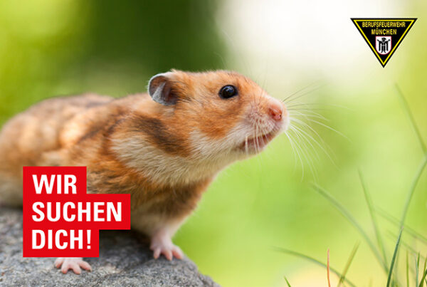 Kleintier vom Dienst