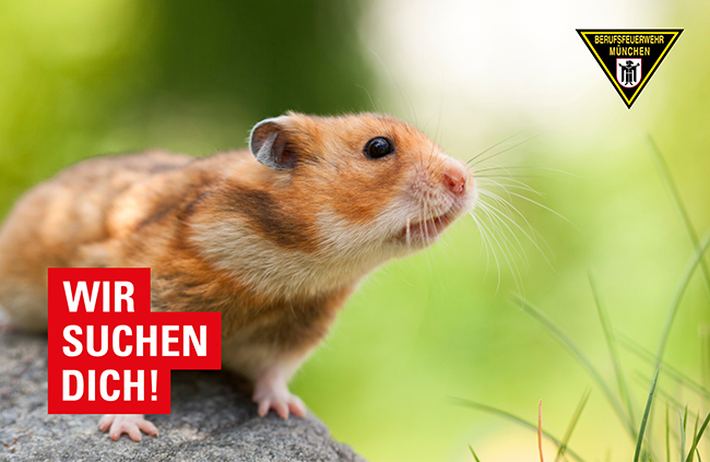 Kleintiere als Einsatzkraft KvD von Münchner Berufsfeuerwehr gesucht