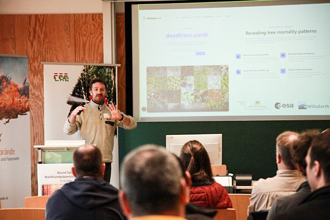 Prof. Dr. Teja Kattenborn