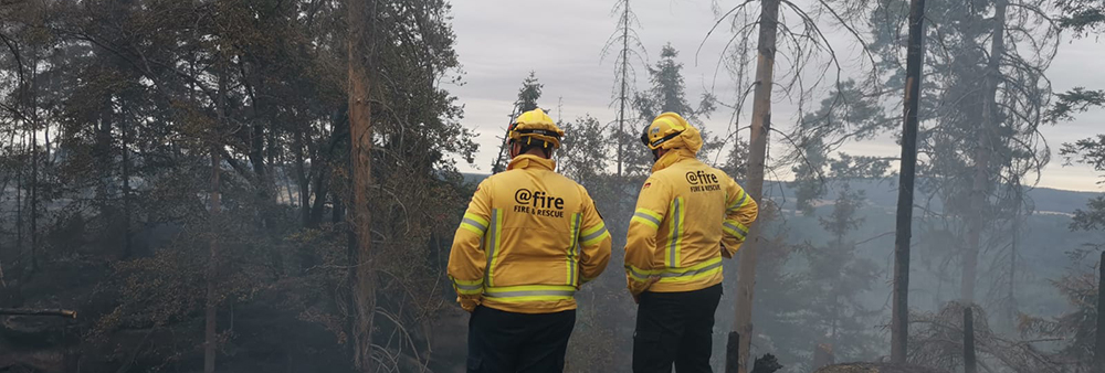 Internationale Waldbrandspezialisten unterstützen bei verheerenden Waldbränden in Brandenburg und Sachsen