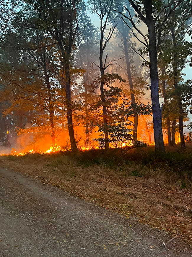 EU Waldbrandmodul im Kreis Düren im Einsatz 2 IMG 20260813 WA0022