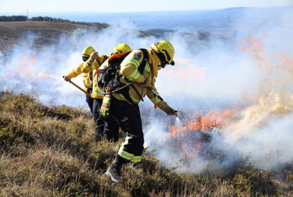 Interschutz2026 WildfireCamp 01 s