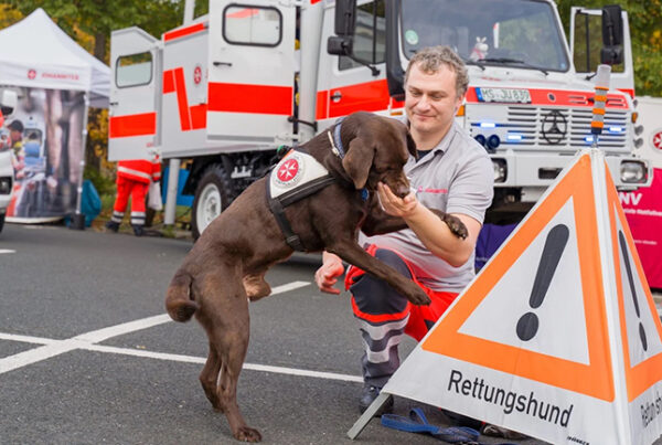 Rettungshund