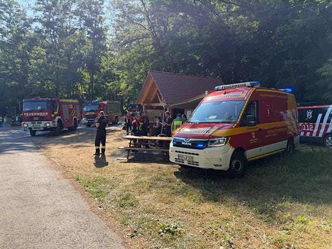 Vegetationsbrand bei Kreuzwertheim – Schneller Feuerwehreinsatz verhindert Ausbreitung auf den Waldbestand 3 Vegetationsbrand bei Kreuzwertheim