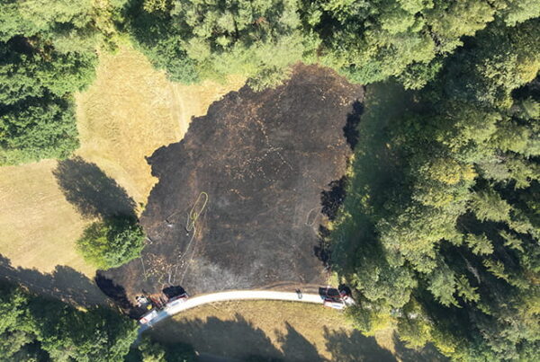 Vegetationsbrand bei Kreuzwertheim
