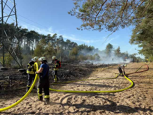 NienburgWeserEinsatzWaldbrand260906 1