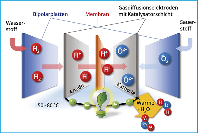 Schema Brennstoffzelle 650