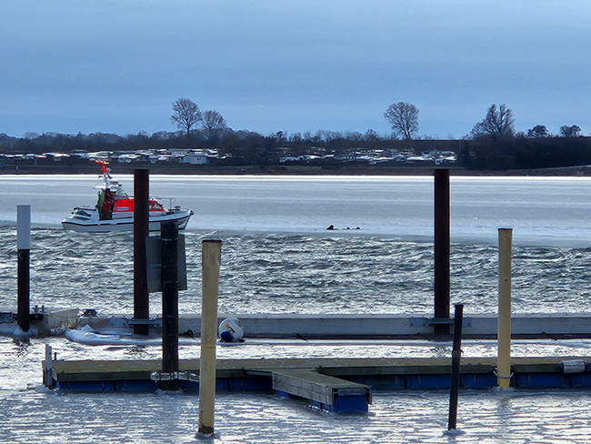 Das Tochterboot VEGESACK des Seenotrettungskreuzers BREMEN der DGzRS rettet einen im Eis gefangenen Kiter