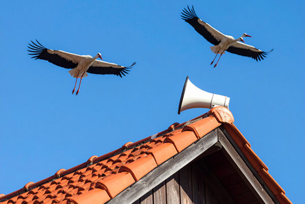 Symbolbild AdobeFirefly Zwei Kopf Storch mit Sirene