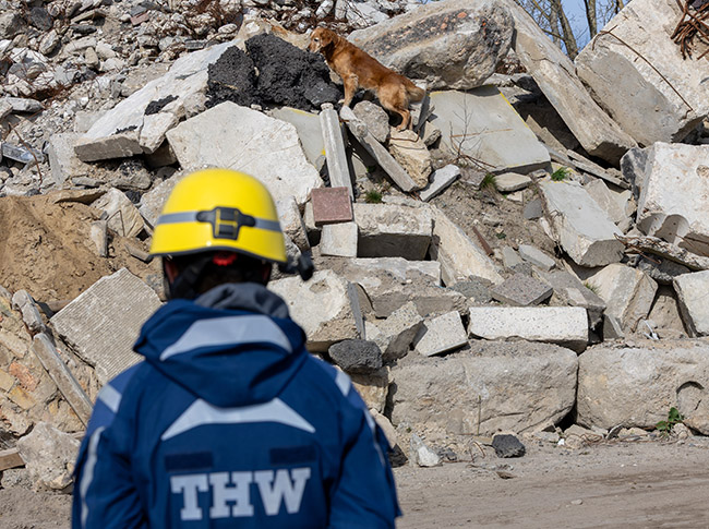 Feuerwehr Fachjournal 2 THW Rettungshundestaffel Landesverband Berlin, Brandenburg, Sachsen-Anhalt