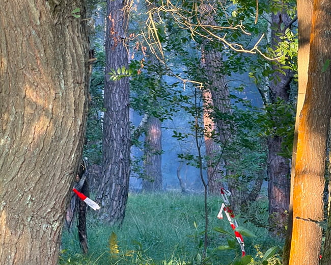 Waldbrand in der Wahner Heide - Feuerwehr Rösraht mit bis zu 200 Einsatzkräfte im Einsatz 3 Waldbrand WahnerHeide Rauchentwicklung