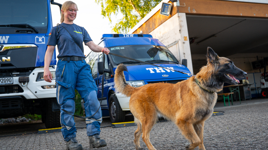THW Spürhunde
