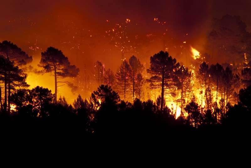 Neues Brandmanagementsystem soll Gefahr von Waldbränden deutlich reduzieren