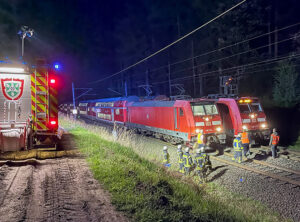 Feuerwehr Aumühle bei Einsatz Wildunfall auf der Bahnstrecke